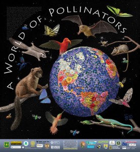 world-of-pollinators-poster-277x300
