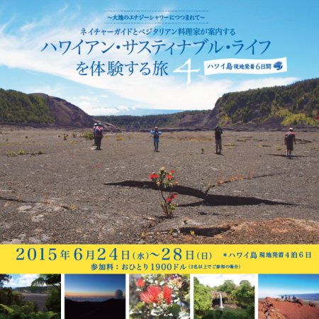 hawaii_tour2015_kizitop02