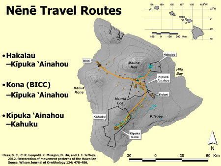 nene-travel-routes-lrg2